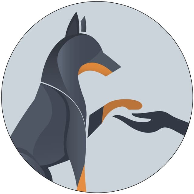 icon exchnager Force