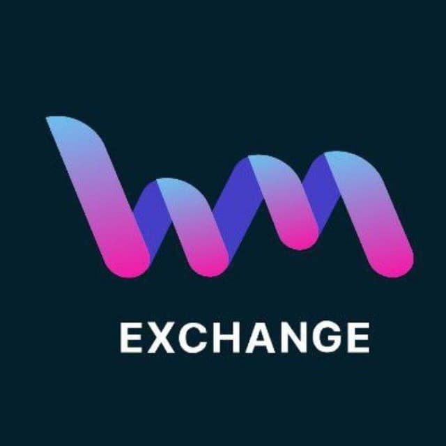 icon exchnager WmCurrency