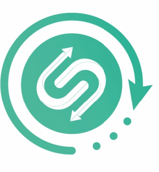 icon exchnager PayStore